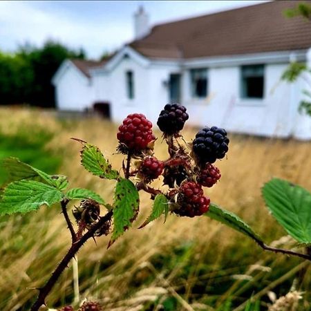 Cathleen'S Cottage Newry Esterno foto