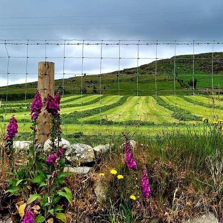 Cathleen'S Cottage Newry Esterno foto
